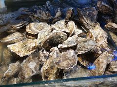 -四海蒸鲜蒸汽海鲜自助(北戴河店)