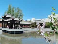 -善化寺