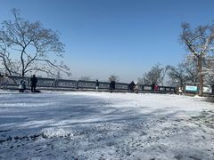 -紫金山天文台