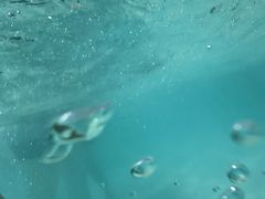 -太阳岛沙滩泳场水上乐园