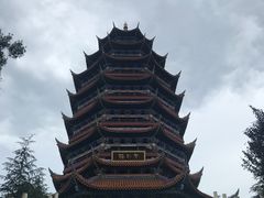 -铁山坪森林公园