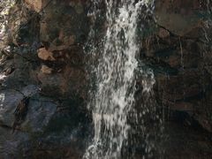 -天女山森林公园