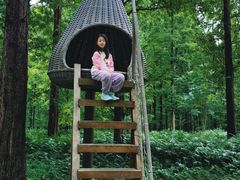 -黄海国家森林公园