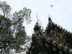 -潭柘寺景区