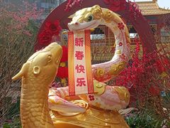 -越秀西湖花市(广州城市广场花卉店)