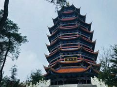 -铁山坪森林公园