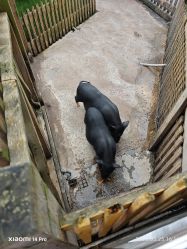 -三分地生态园·儿童乐园