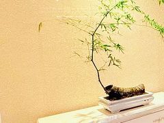 -麓湖国际水疗