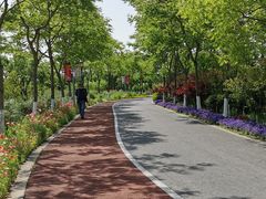 -上海长兴岛郊野公园