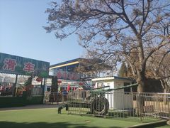 -朝阳公园游乐园