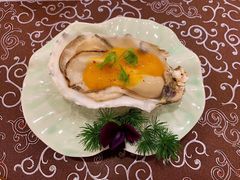 -九献创意菜·牛排料理(亮马河花园店)