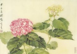 -薇兰专业脱毛连锁机构