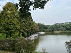 -东莞植物园