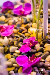 -三色锦婚礼定制