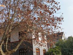 -四川农业大学(雅安校区)