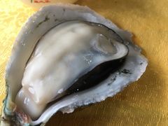 -蚝专家(北滘店)