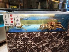 水产区-宝园酒家(美林M·LIVE天地东座店)
