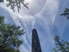 -上海佘山国家森林公园天马山园