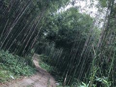 -杭州双溪漂流景区