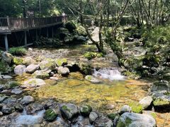 -牛背梁国家森林公园