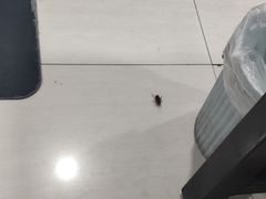 -鸡公煲烤鱼·石锅鱼(万科时1区店)