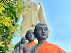 -西双版纳勐泐文化旅游区