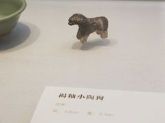 -汕头市博物馆
