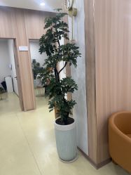 -东莞台心医院-医疗美容