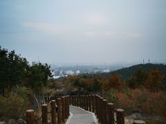 -白水寺森林公园