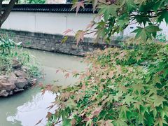 -秋霞圃
