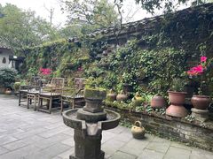 -青城甲(青城山店)