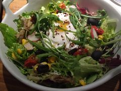 -百好乐宠物友好餐厅(朝外大街店)