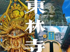 -上海东林寺(金山区)