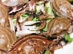 帝王蟹-吉友粥底火锅(方斜路店)