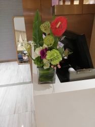 -苑苑vbeauty科技美容SPA