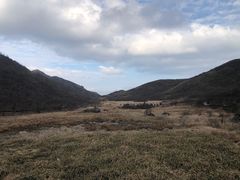-大围山国家森林公园