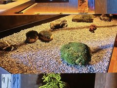 -双海潮·海鲜融合菜(如是海店)
