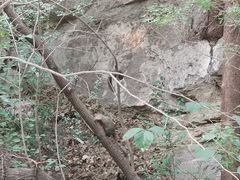 -佛慧山