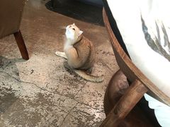 -咖法森林·咖啡  酒吧(天河店)