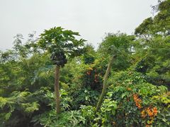 -涠洲岛火山国家地质公园