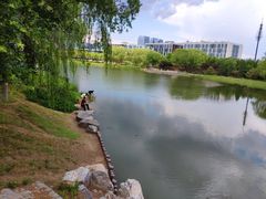 -大兴滨河森林公园