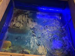 -悠然湯·汗蒸汤泉会馆