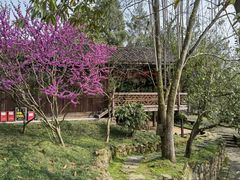 -唐崖土司城遗址