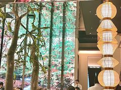 -桂满陇·海市蜃楼·黑金(国金店)