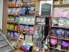 -天使宠物医院·犬猫分诊(彩虹店)