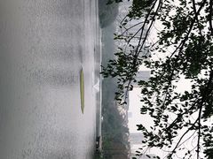-重庆彩云湖湿地公园