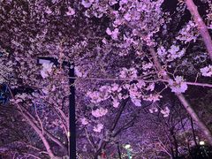 -邹开喜·炭炉鸡煲·海鲜火锅(虹口足球场店)