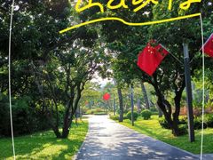 -四海公园(南山区)