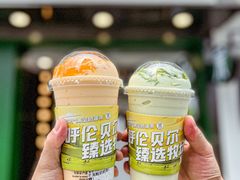 -茉酸奶(春熙路店)