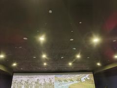 -SFC上影影城(港汇永华IMAX激光店)